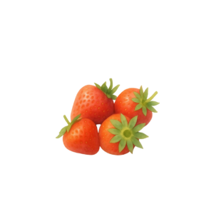 Bio-Topfpflanzen Königin Luise